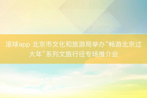 滚球app 北京市文化和旅游局举办“畅游北京过大年”系列文旅行径专场推介会