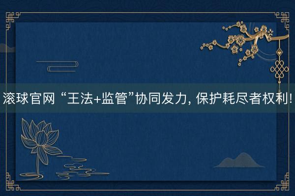 滚球官网 “王法+监管”协同发力, 保护耗尽者权利!