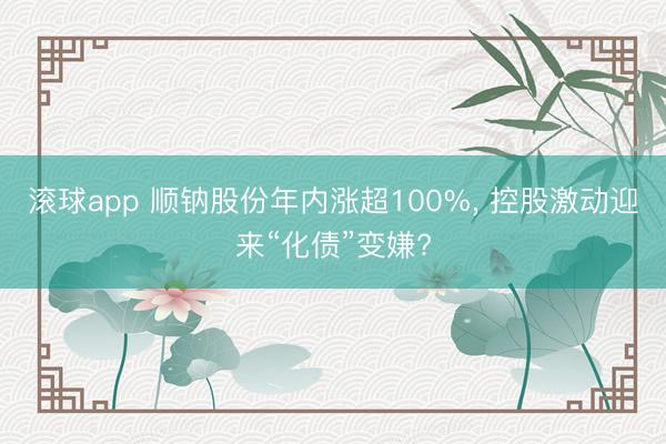 滚球app 顺钠股份年内涨超100%, 控股激动迎来“化债”变嫌?
