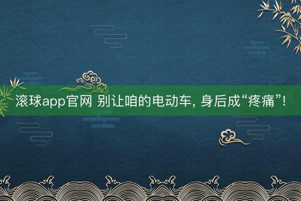 滚球app官网 别让咱的电动车, 身后成“疼痛”!