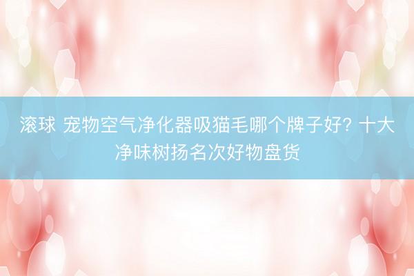 滚球 宠物空气净化器吸猫毛哪个牌子好? 十大净味树扬名次好物盘货