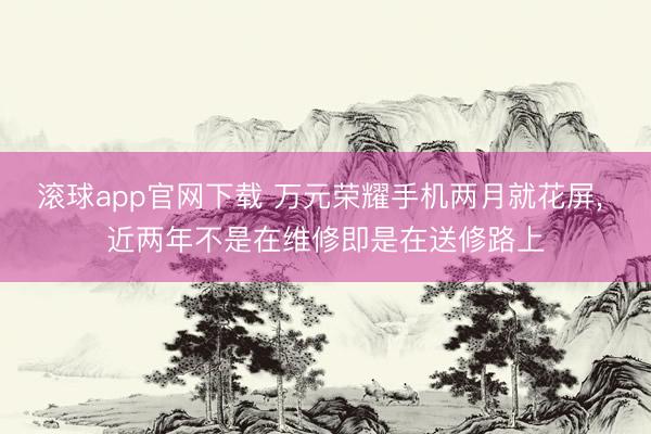 滚球app官网下载 万元荣耀手机两月就花屏, 近两年不是在维修即是在送修路上