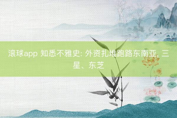 滚球app 知悉不雅史: 外资扎堆跑路东南亚, 三星、东芝