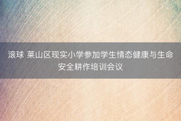 滚球 莱山区现实小学参加学生情态健康与生命安全耕作培训会议