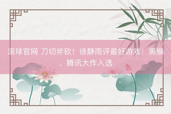滚球官网 刀切斧砍！徐静雨评最好游戏：黑猴、腾讯大作入选