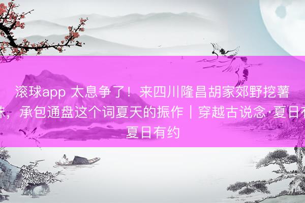 滚球app 太息争了！来四川隆昌胡家郊野挖薯寻味，承包通盘这个词夏天的振作｜穿越古说念·夏日有约